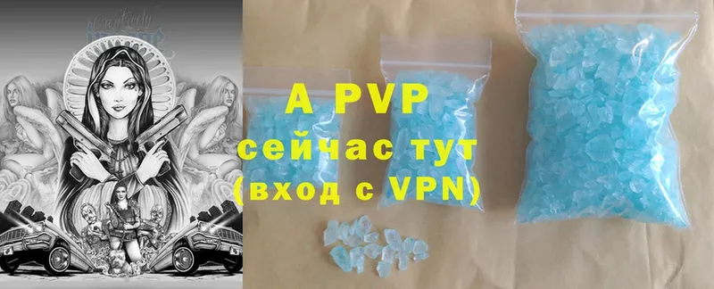 A PVP СК Венёв