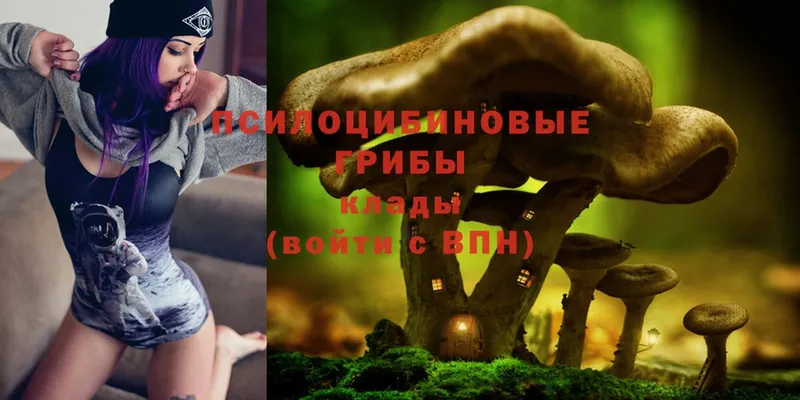 Галлюциногенные грибы MAGIC MUSHROOMS  Венёв 